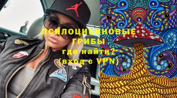 ешки Абдулино