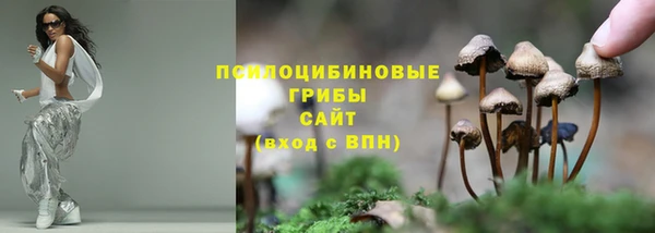 крисы Абинск